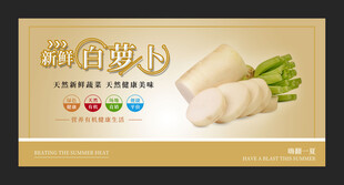 白萝卜