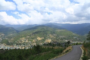 山间公路旁的美丽风景