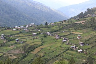 山间村落风景