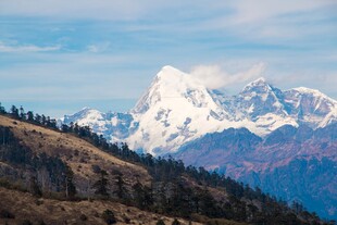 壮丽雪山与山林景观