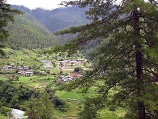 山林间的静谧村落景观