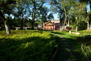 林间小屋静谧自然风光