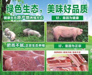 绿色生态猪肉