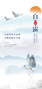 白露