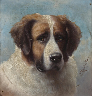 圣伯纳犬肖像画