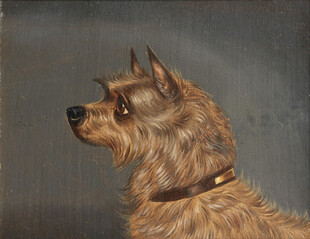 棕色犬只侧面肖像画