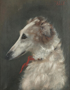 戴红领的优雅猎犬画像