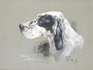 黑白猎犬侧面肖像画