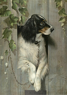 挂在木墙上的黑白猎犬