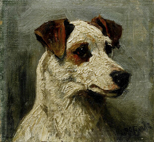 杰克罗素梗犬肖像画