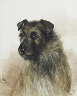 长毛犬肖像画