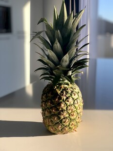 室内摆放的新鲜菠萝
