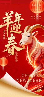 羊年