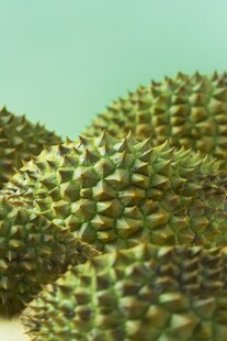 堆叠的带刺榴莲果