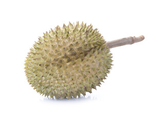 单个新鲜榴莲特写