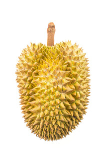 金黄带刺的新鲜榴莲