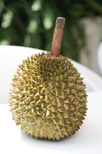 新鲜榴莲特写