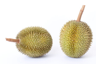 两个新鲜榴莲