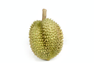 单个新鲜榴莲特写