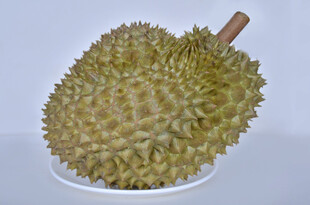 新鲜饱满的榴莲