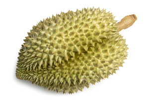 单个新鲜榴莲特写