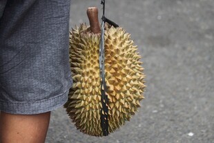 手持榴莲的人