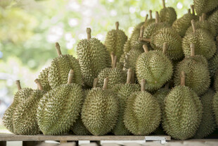 新鲜榴莲堆成小山
