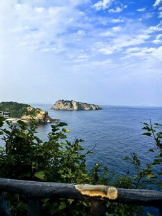 海边美景 绿植点缀岩石 棒槌岛