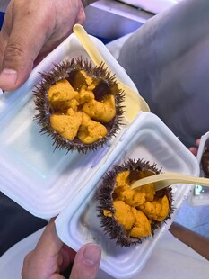 新鲜美味的盒装海胆