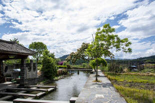 晴朗水塘美景