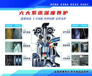 六大系统深度养护