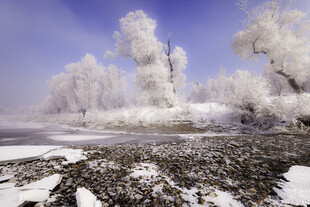 冬日冰雪覆盖的梦幻景观