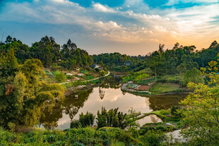 夕阳下的河畔自然美景