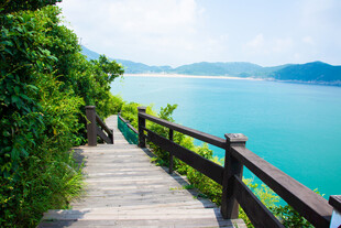 海边木栈道邂逅自然美景