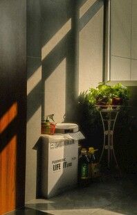 阳光洒落的温馨室内角落