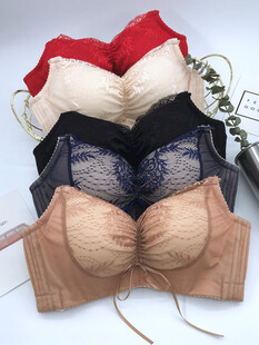 多款女士内衣展示