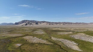广袤草原与远处山峦景观
