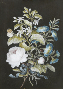 复古花卉图案插画