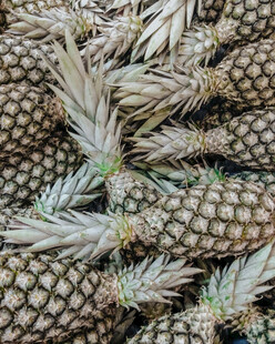 一堆新鲜菠萝