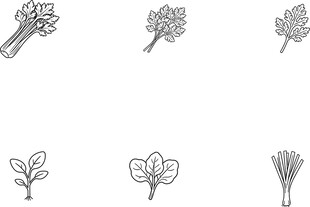 蔬菜植物图标集合
