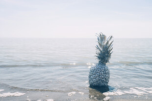 海边独放的菠萝