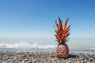 海滩上的菠萝
