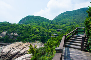 山间木栈道赏绿意美景