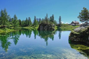 宁静湖畔的自然美景