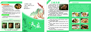 三峡天麻单页