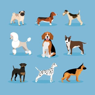 多样萌犬集合