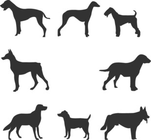 多种犬类剪影
