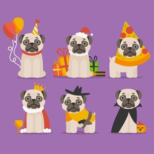 可爱巴哥犬的欢乐派对
