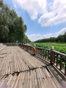 湖畔木栈道风景