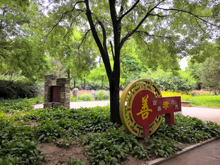 公园中的中式装饰景观